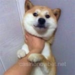 Foto de Laura Martínez