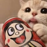 Foto de Melissa Montoya